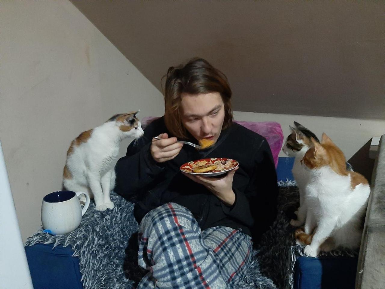 Everyday Cat Hostel Batumi Eksteriør bilde